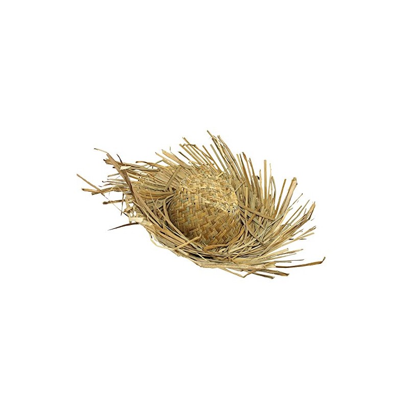 1 X STRAW BEACHCOMBER HAT HAWAIIAN FANCY DRESS COSTUME FRAYED