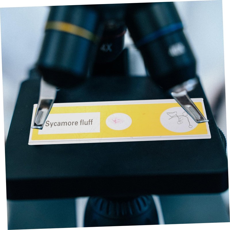 KOMBIUDA 12 pcs Prepared Microscope Slides for Educational Microbiology Specimens