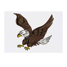 'Bald Eagle' Temporary Tattoo - Water Resistant, Skin-Safe, Non-Toxic Transfer (TO00034062)