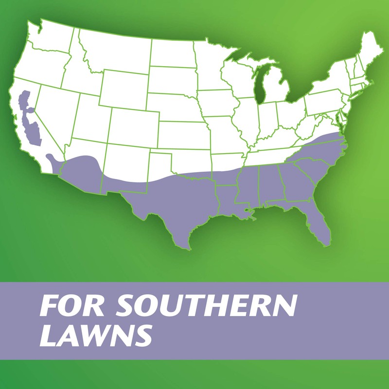Scotts Turf Builder Zoysia Grass Seed & Mulch, Grows a