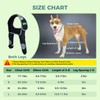 Dog Leg Brace Front Prevents Elbow Hygroma, Elbow Calluses, Pressure