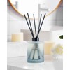M&SENSE Eucalyptus Mint Reed Diffuser Set - 16.9 fl oz