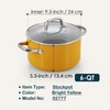 Cook N Home Non Stick Stock Pot with Lid, 6-Quart
