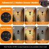 Porch Light with GFCI Outlets, Brown Motion Sensor Dusk to
