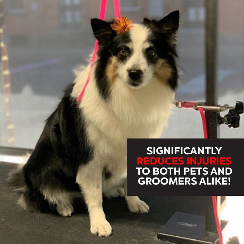 Groomers Helper® Classic Starter Set (Black)