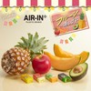 Plus Eraser, Air-In Fruit Eraser, Avocado, Pine, Apple, Melon, Set