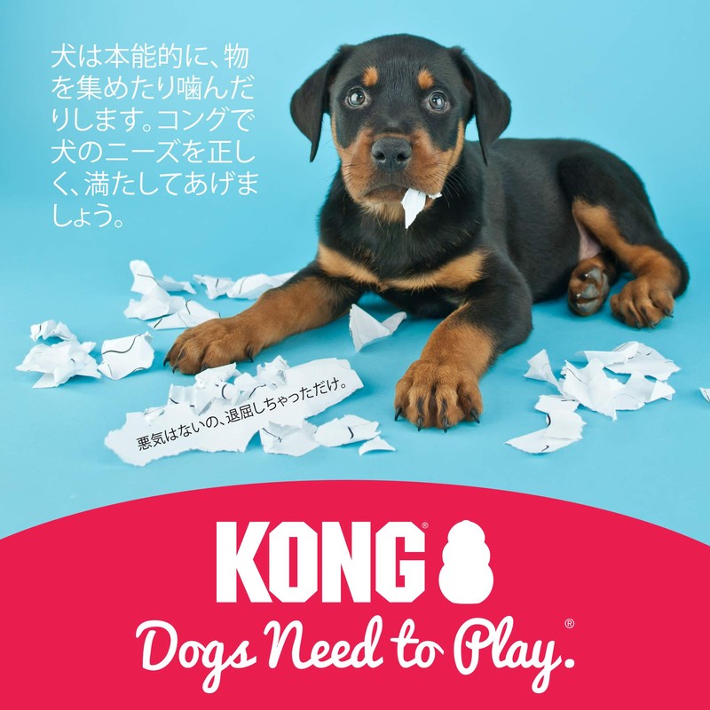 Kong Puppy Kong Dog Toy, Blue, Small