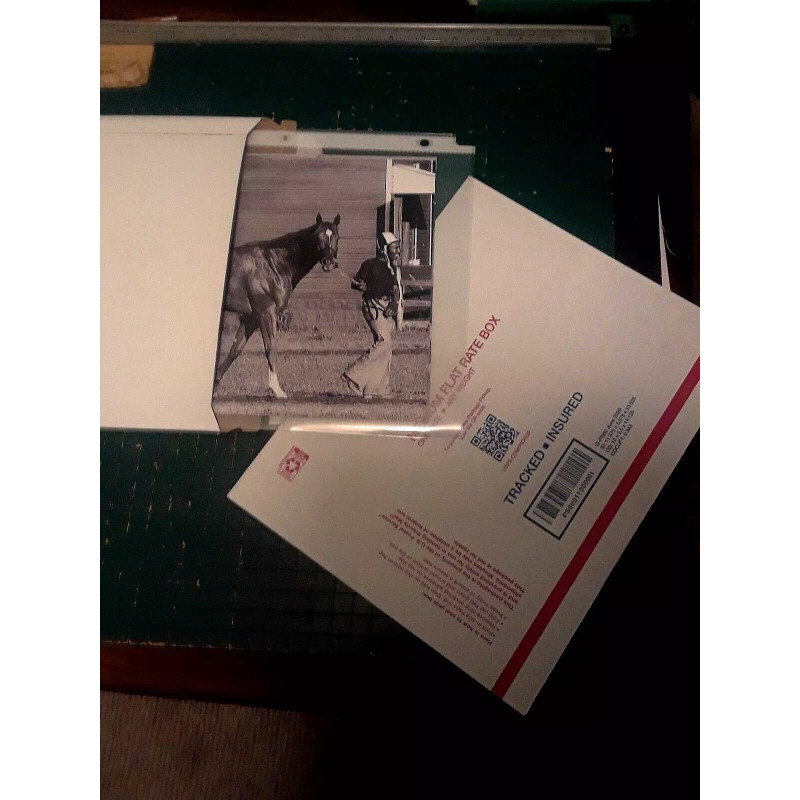 SECRETARIAT 8 X 10 ~ Lot of 2 Photos TRIPLE