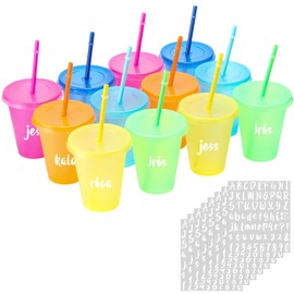 Qinyoung 12 Pcs Plastic Cups with Lids and Straws 16 oz Reusable Rainbow Colored Drinking Cups Set for Adult Iced Coffee Tumblers with Stickers for Summer Party (Colorful)