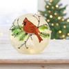 Haute Decor Cardinal Christmas Globe with Battery-Operated Timer and 15