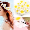 Yesallwas Artifical Foam Frangipani Flower 20 PCS 5CM/ 2" Artificial