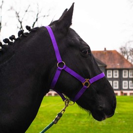 Halter for Horses with Knit, Lead Rope Horse with Halter, Halter Shetty, Pony, Thoroughbred, Full, X-Full with Knit (Purple, Pony)