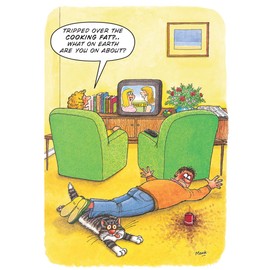 Greeting Card (LD8668) - Humour/Birthday - Tripped Over The Cooking Fat