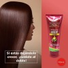 Tratamiento Capilar Xiomara Aceite Aguacate 200g