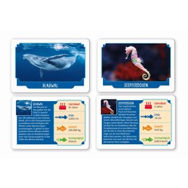 Clementoni Galileo Games 59386 Record Suspected Sea Creatures - Knowledge Cards About Animals from the Sea World - Game for Children from 6 Years