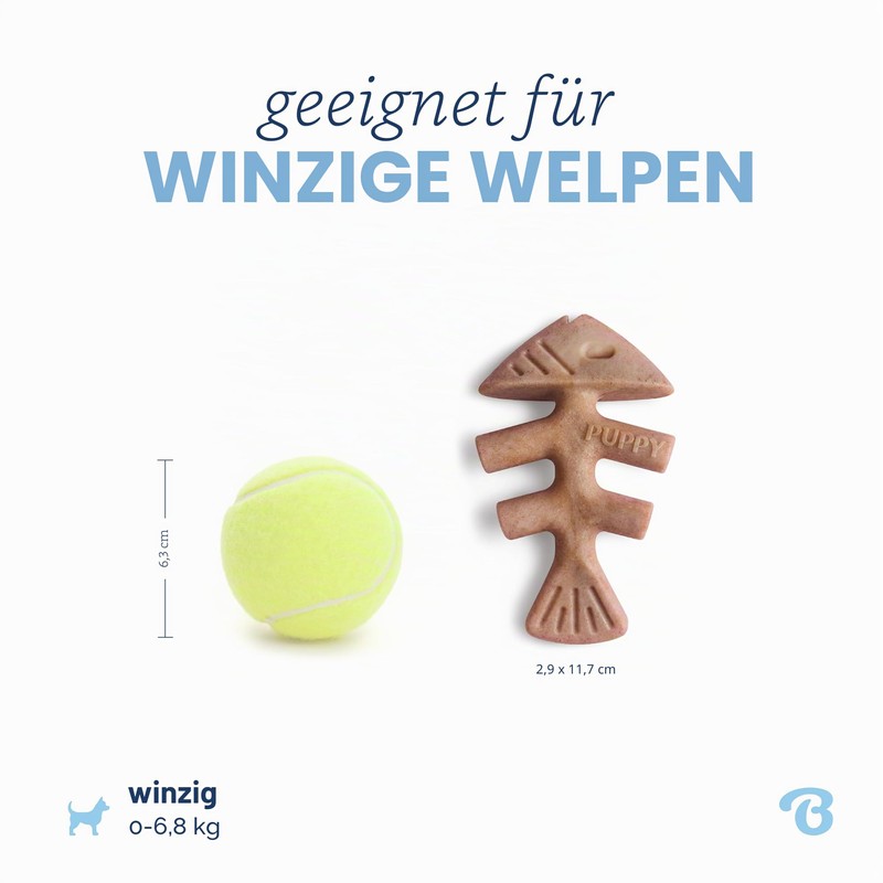 Benebone Fishbone Puppy 2-Pack Mini 12 cm (81005421033)
