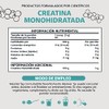 Creatina Monohidratada Micronizada Polvo 100 Alta Pureza Certificada Pre Workout