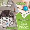 Tiertraum Interactive Cat Toy for Self-Employment and Playing Together |