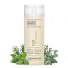 GIOVANNI COSMETICS - Eco Chic Tea Tree Triple Treat -