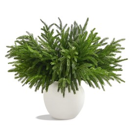 WeGuard 16 Pcs Real Touch Artificial Norfolk Pine Branches, 18 Inches Faux Cedar Pine Stem Fake Christmas Greenery Picks for Vase DIY Garland Wreath Christmas Decor Home Decor