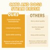 Cat Pet Steam Brush – 3-in-1 Spray & Massage Comb