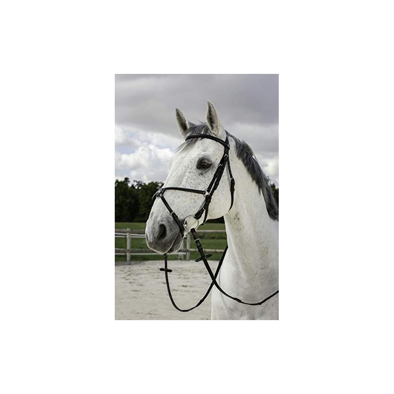 Riding World Mexican Horse Bridle Bridle