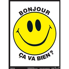 Poster Pals French Educational & Language Teaching Basic Posters, Large Colorful Charts, Classroom Reference and Instruction, FSL, 7 Pack