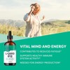 Vimergy Liquid B12 Supplement – Vegan Methylcobalamin & Adenosylcobalamin B12