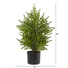 Nearly Natural 2ft. Norfolk Island Pine “Natural Look” Artificial Tree in Decorative Planter, Green