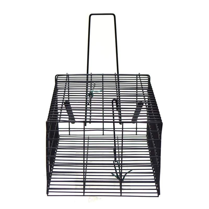 Takagi 4907052749948 Mouse Catcher, Square, Small, Black, Repeated Use