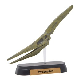 73509 Dinosaur puteranodon Skull Mini Model (FDW – 509)