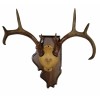 Cauff Whitetail Deer Antler Mounting Kit, Solid Wood Plaque, Illinois