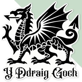 Extra Large 460mm 'Welsh Dragon' Permanent Sticker Decal for Cars/Windows/Bins/Walls (DW00120415)