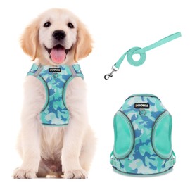 Muecleao Small Dog Harness, No Pull Breathable Cat Harnesses with Leash, Reflective Adjustable Dog Vest, Puppy Harness with Easy Control Handle for Small Dogs and Cats (Green, M)