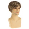 Dsimeig Men's Brown Blonde Wig Short Layer Straight Cosplay Synthetic