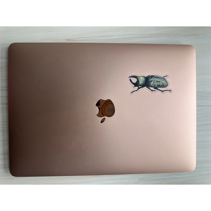 Hercules Beetle Sticker, Insect Clear Vinyl Decal, Entomology Sticker, Bug