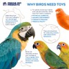 Pervue Pet Products Naturals Sound & Movement Crown Bird Toy,4"