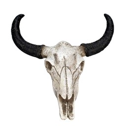 VORCOOL Longhorn Cow Skull Wall Hanging, Animal Skull Wall Hanging Faux Longhorn Skull for Farmhouse Wall Decor