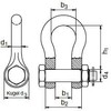 Riggatec High-Strength Shackle 5/16 Inch 0.75 t Hot-Dip Galvanised