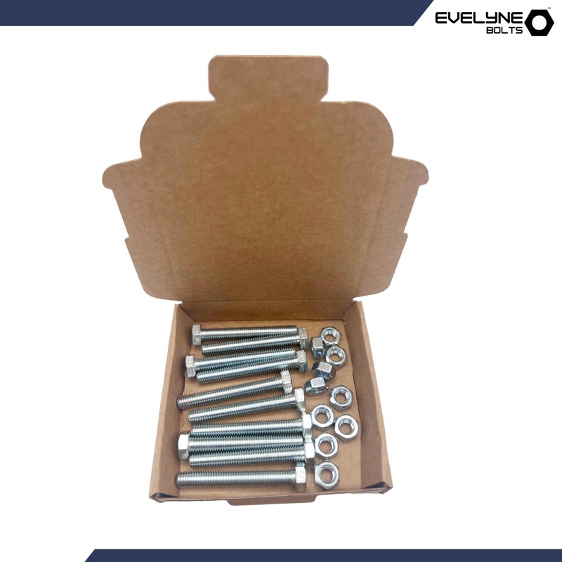 M8 Nuts & Bolt 10 Pack (M8 x 60mm Bolts