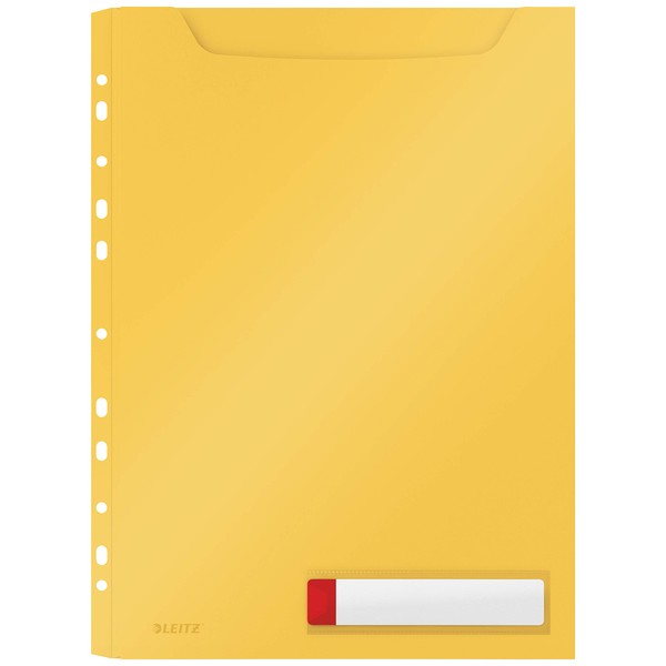 Leitz A4 Privacy Maxi Case, Ideal for up to 150