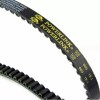 Fancy Scooters Ice Bear Trike 50cc 4-Stroke Powerlink Drive Belt Mojo Shark Q6 Ace-669