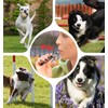 ValueBargain 2 Pack Dog Whistle, Ultrasonic Silent Dog Whistle to