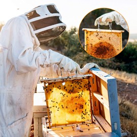 Hive Frame Beekeeper Tool Honeycomb Tool Beekeeping Pliers for Beekeepers to Protect Against Bee Stings