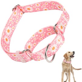 Martingale Collar for Dogs Medium Large, Girl Dog Collars with Adjustable Soft Nylon and Special Pink Daisy Floral Design, Training No Slip Dog Collar (M)