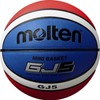 Molten (molten) Mini Basketball 5 For # # # # Bulk bgj5 °C
