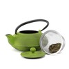 Creative Home 20 oz Cast Iron Kyusu Teapot with Stainless