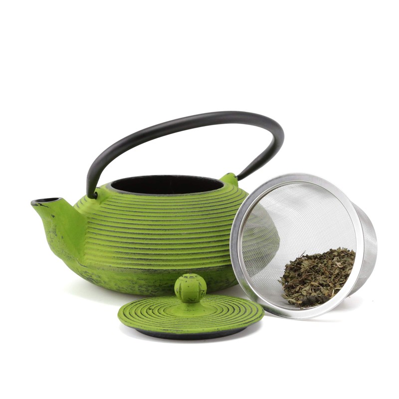 Creative Home 20 oz Cast Iron Kyusu Teapot with Stainless