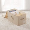 iwill CREATE PRO Pack of 2, Zip Lidded Wardrobe Storage