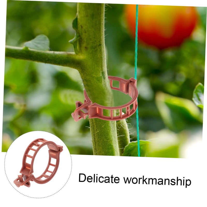 BESPORTBLE 100pcs Plastic Plant Clip Tomato Stakes and Supports for